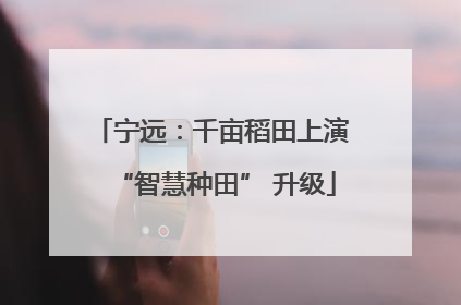 宁远：千亩稻田上演 “智慧种田” 升级