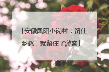 安徽凤阳小岗村：留住乡愁，就留住了游客