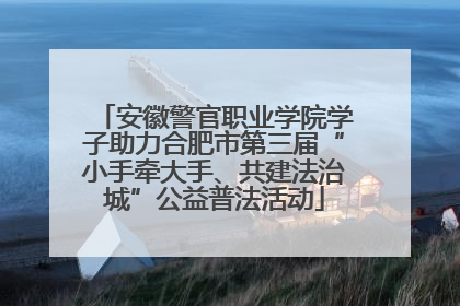 安徽警官职业学院学子助力合肥市第三届“小手牵大手、共建法治城”公益普法活动