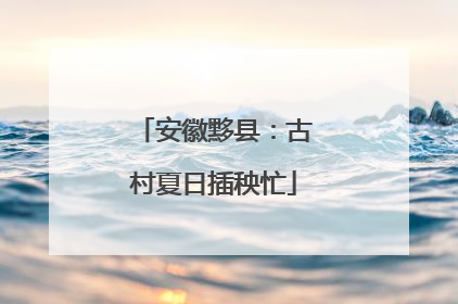 安徽黟县：古村夏日插秧忙