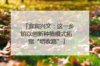 宜宾兴文：这一乡镇以创新种植模式拓宽“增收路”