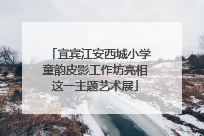 宜宾江安西城小学童韵皮影工作坊亮相这一主题艺术展