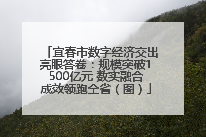 宜春市数字经济交出亮眼答卷：规模突破1500亿元 数实融合成效领跑全省（图）