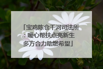 宝鸡陈仓千河司法所：暖心帮扶点亮新生 多方合力助燃希望