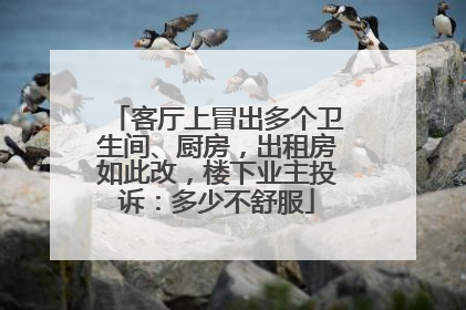 客厅上冒出多个卫生间、厨房，出租房如此改，楼下业主投诉：多少不舒服