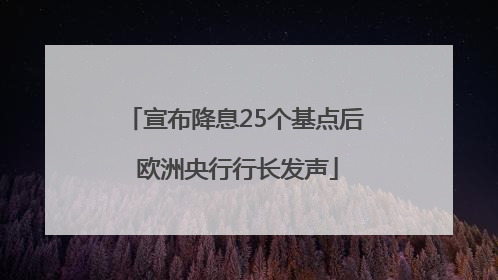 宣布降息25个基点后 欧洲央行行长发声