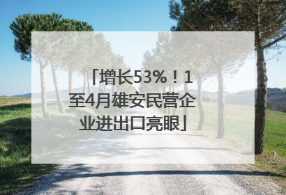 增长53%！1至4月雄安民营企业进出口亮眼
