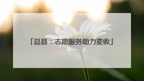 夏县：志愿服务助力麦收