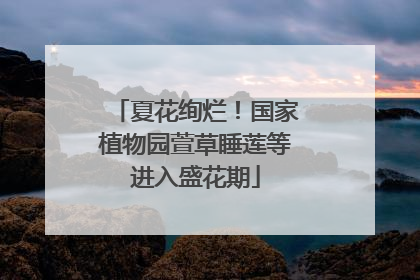 夏花绚烂！国家植物园萱草睡莲等进入盛花期