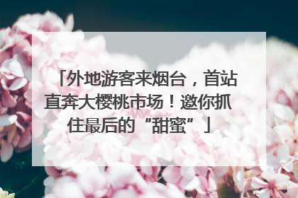 外地游客来烟台，首站直奔大樱桃市场！邀你抓住最后的“甜蜜”