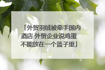 外贸羽绒被牵手国内酒店 外贸企业说鸡蛋不能放在一个篮子里