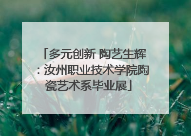 多元创新 陶艺生辉：汝州职业技术学院陶瓷艺术系毕业展