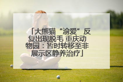 大熊猫“渝爱”反复出现脱毛 重庆动物园：暂时转移至非展示区静养治疗