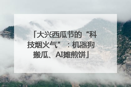 大兴西瓜节的“科技烟火气”：机器狗搬瓜、AI摊煎饼