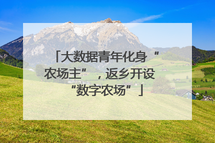 大数据青年化身“农场主”，返乡开设“数字农场”