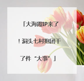 大海霞IP来了！洞头七村抱团干了件“大事”