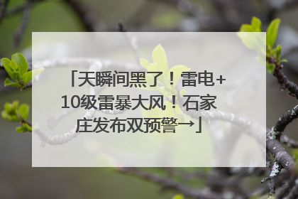 天瞬间黑了！雷电+10级雷暴大风！石家庄发布双预警→
