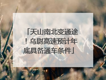天山南北变通途！乌尉高速预计年底具备通车条件