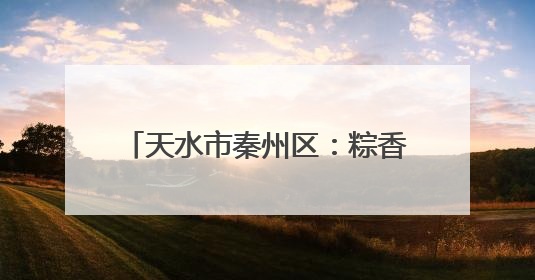 天水市秦州区：粽香飘 “艾”意浓 端午经济“热”起来