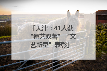 天津：41人获“德艺双馨”“文艺新星”表彰