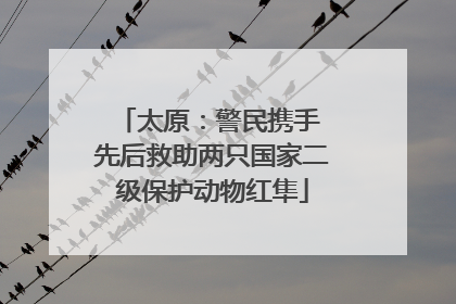 太原：警民携手 先后救助两只国家二级保护动物红隼