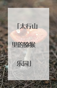 太行山里的猕猴乐园