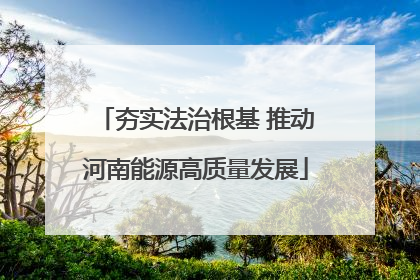 夯实法治根基 推动河南能源高质量发展
