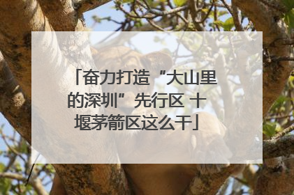 奋力打造“大山里的深圳”先行区 十堰茅箭区这么干