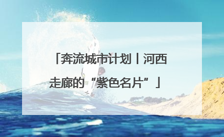 奔流城市计划丨河西走廊的“紫色名片”