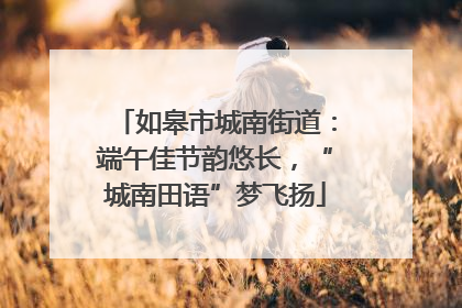 如皋市城南街道：端午佳节韵悠长，“城南田语”梦飞扬