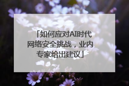 如何应对AI时代网络安全挑战，业内专家给出建议