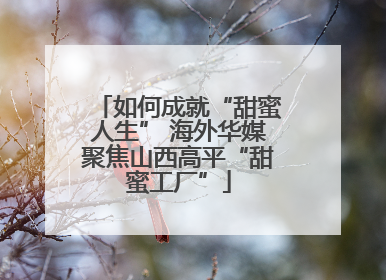 如何成就“甜蜜人生” 海外华媒聚焦山西高平“甜蜜工厂”