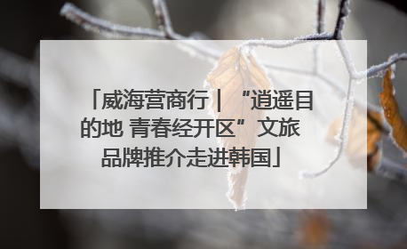 威海营商行｜“逍遥目的地 青春经开区”文旅品牌推介走进韩国