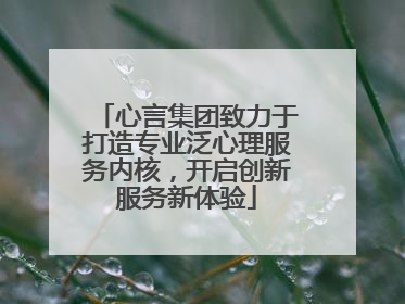 心言集团致力于打造专业泛心理服务内核，开启创新服务新体验