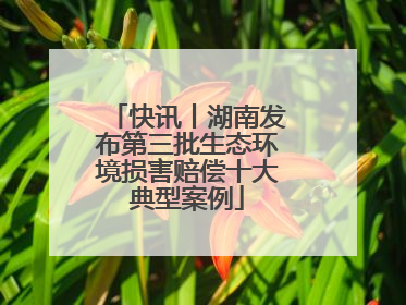 快讯丨湖南发布第三批生态环境损害赔偿十大典型案例