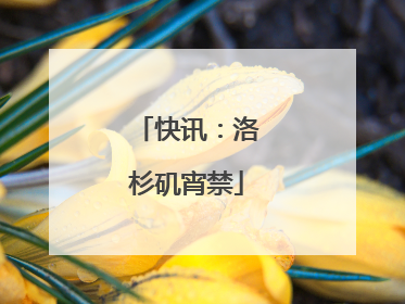 快讯：洛杉矶宵禁