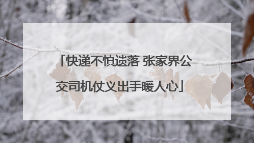 快递不慎遗落 张家界公交司机仗义出手暖人心