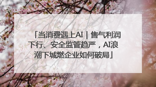当消费遇上AI｜售气利润下行、安全监管趋严，AI浪潮下城燃企业如何破局