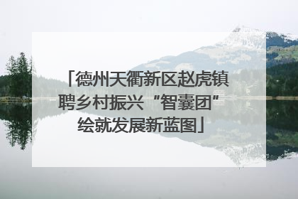 德州天衢新区赵虎镇聘乡村振兴“智囊团” 绘就发展新蓝图