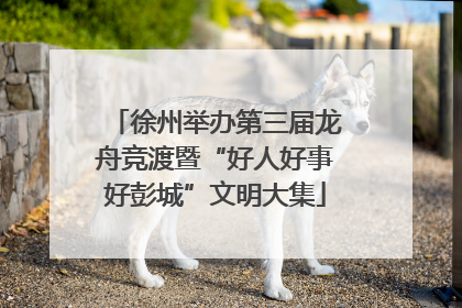 徐州举办第三届龙舟竞渡暨“好人好事好彭城”文明大集