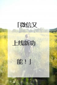 微信又上线新功能！