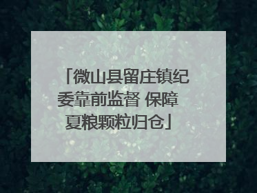微山县留庄镇纪委靠前监督 保障夏粮颗粒归仓