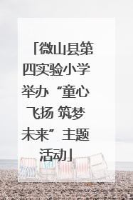 微山县第四实验小学举办“童心飞扬 筑梦未来”主题活动