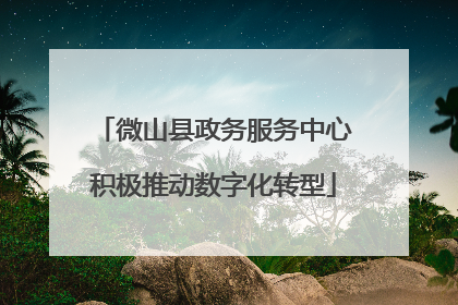 微山县政务服务中心积极推动数字化转型