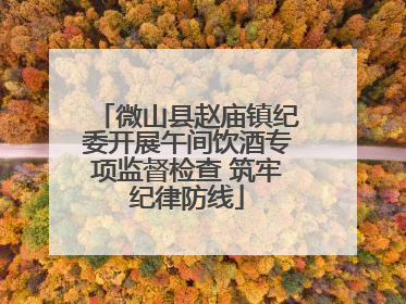 微山县赵庙镇纪委开展午间饮酒专项监督检查 筑牢纪律防线