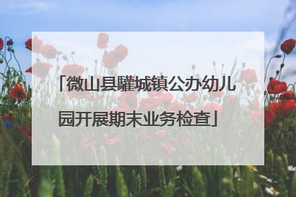 微山县驩城镇公办幼儿园开展期末业务检查