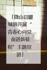 微山县驩城镇开展“青春心向党 奋进新征程”主题宣讲