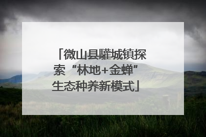 微山县驩城镇探索“林地+金蝉”生态种养新模式