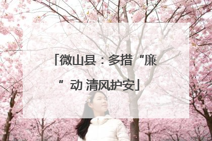 微山县：多措“廉”动 清风护安