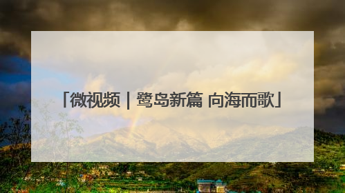 微视频｜鹭岛新篇 向海而歌